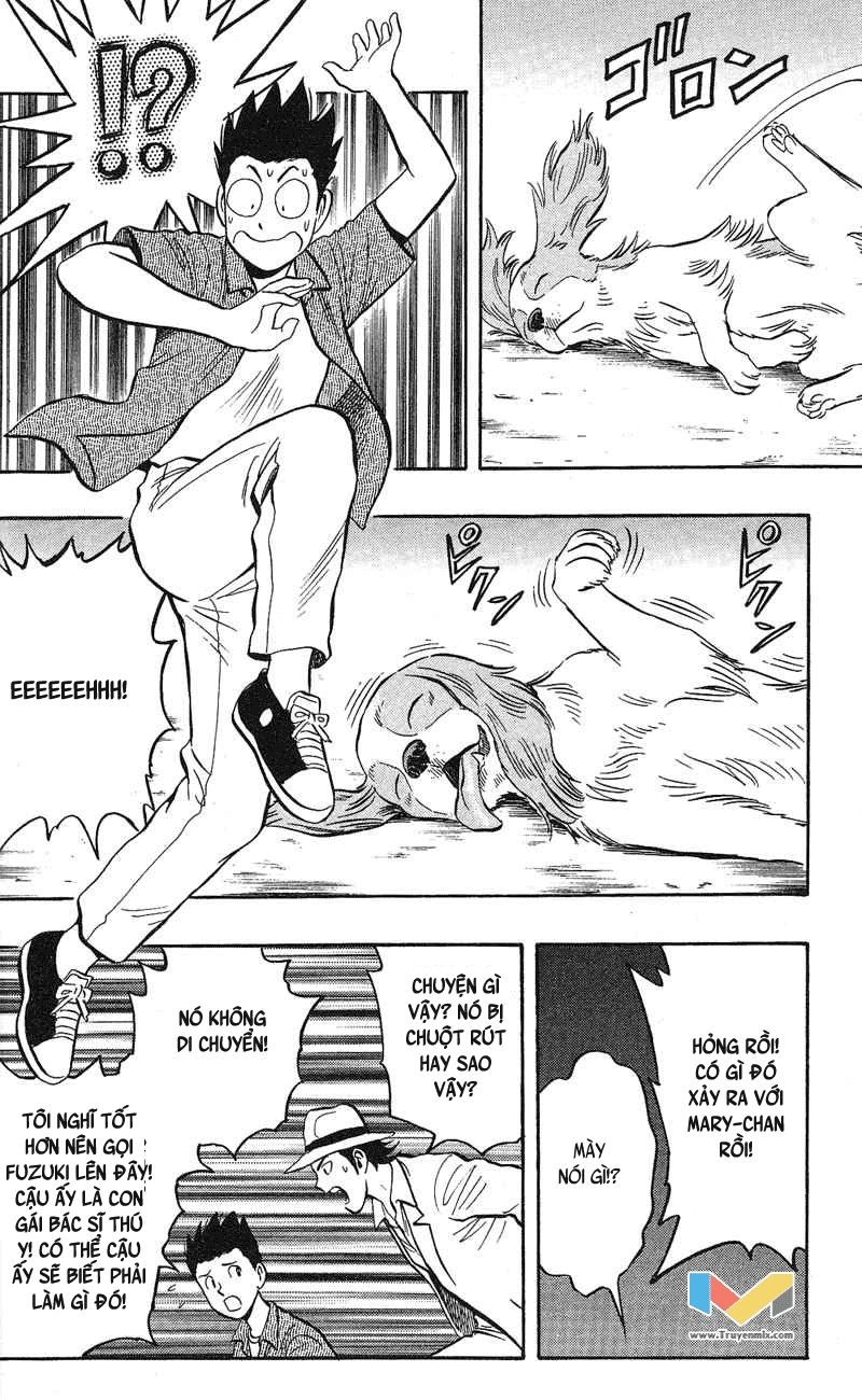 Animal Sense Chapter 5 - 33