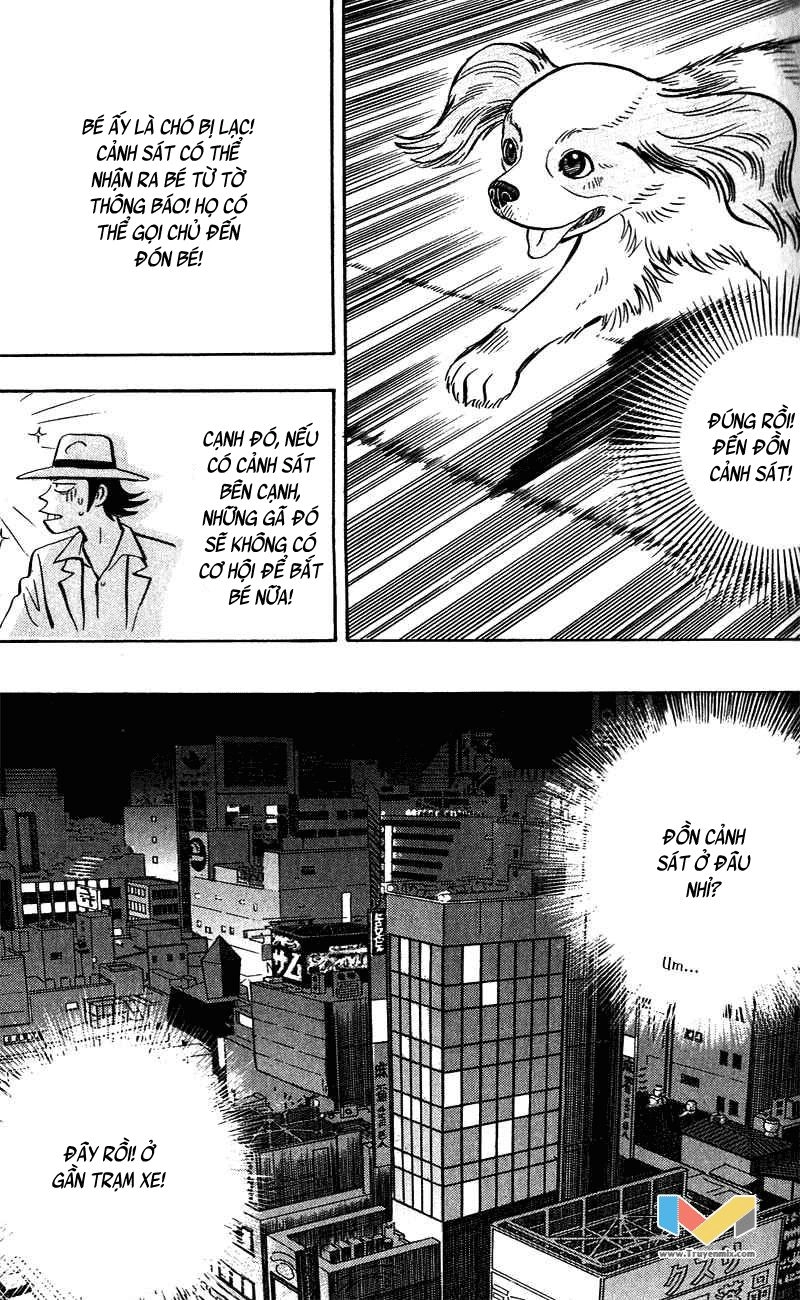 Animal Sense Chapter 6 - 36