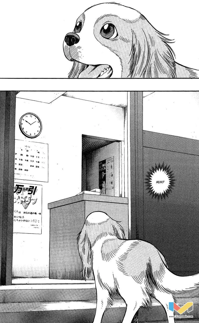 Animal Sense Chapter 7 - 7