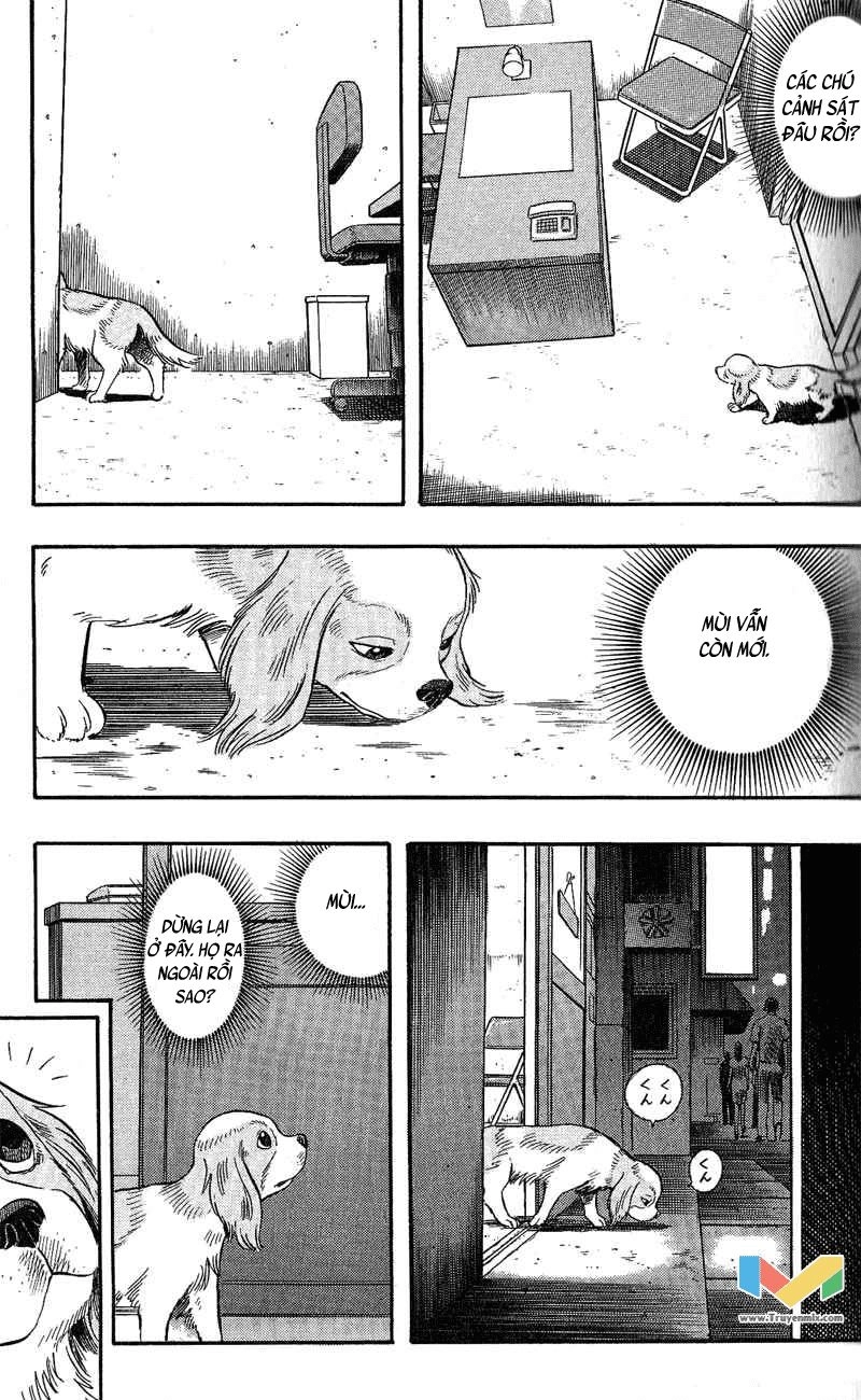 Animal Sense Chapter 7 - 8