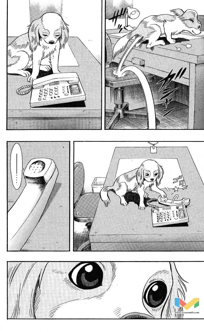 Animal Sense Chapter 7 - 18