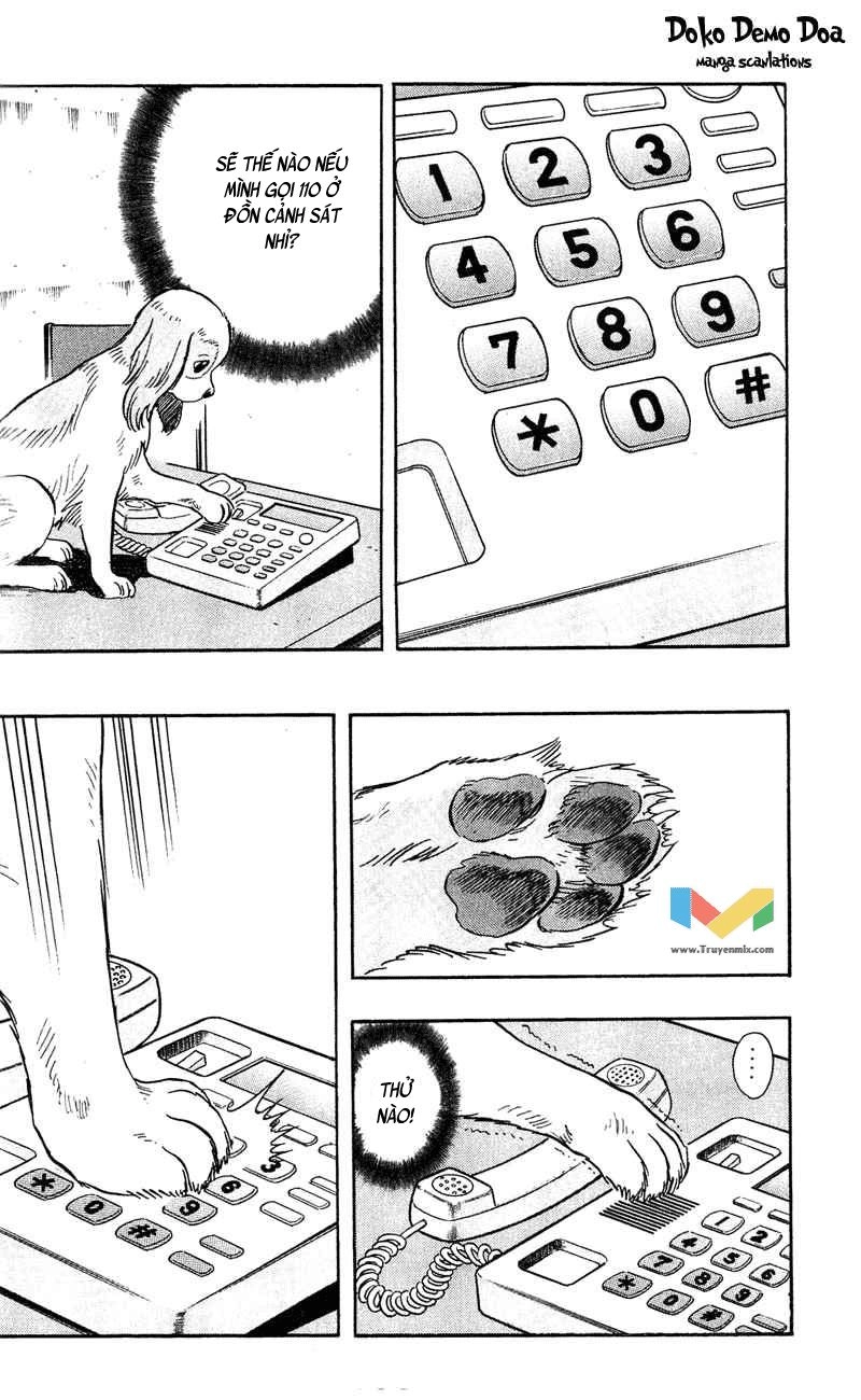 Animal Sense Chapter 7 - 19