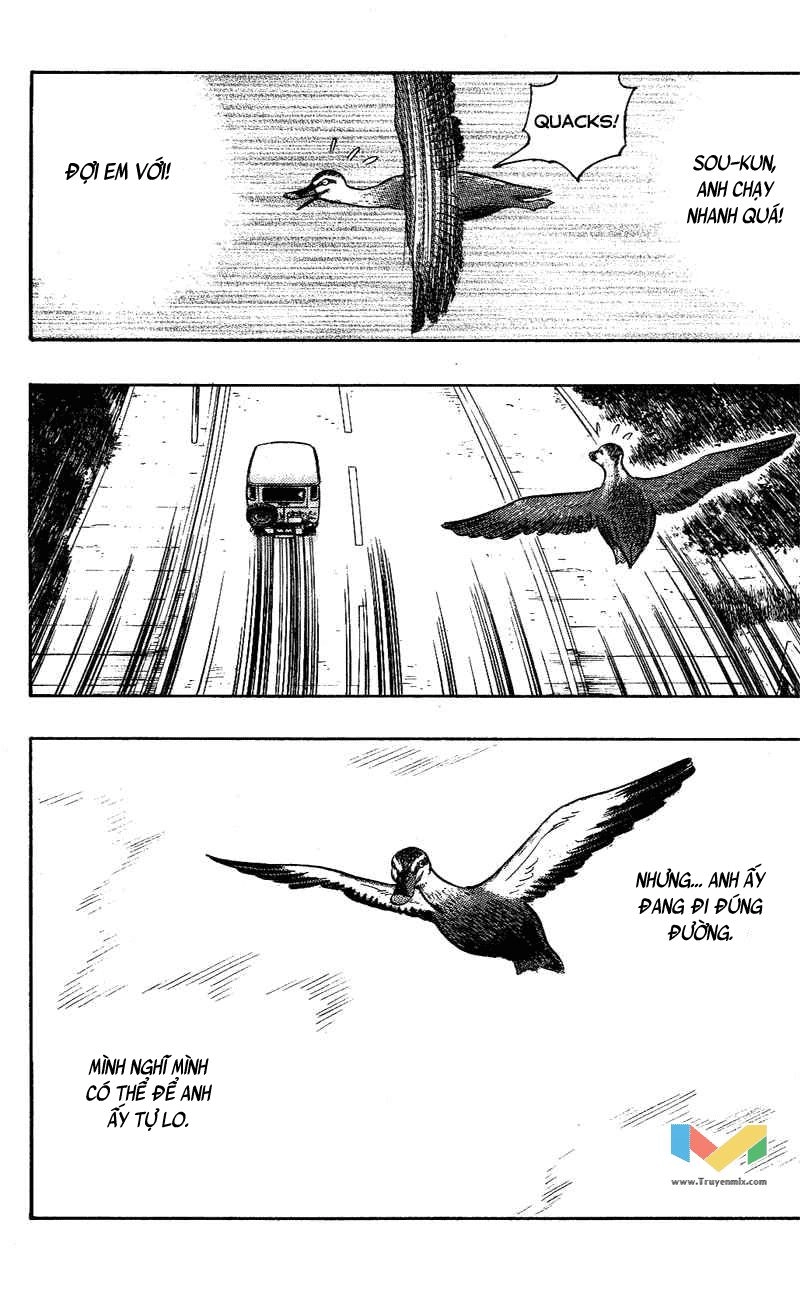 Animal Sense Chapter 9 - 28