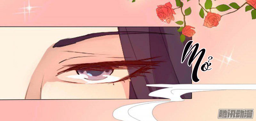 Hỏa Hồ Chapter 1 - 22