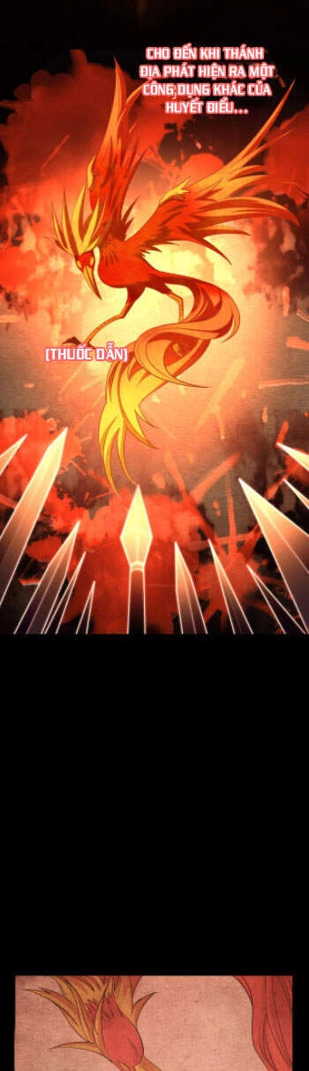 Ta Có Thể Rút Ra Thuộc Tính Chapter 6 - 15