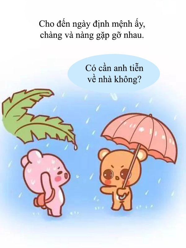 Giải Mã Tình Yêu Chapter 241 - 6