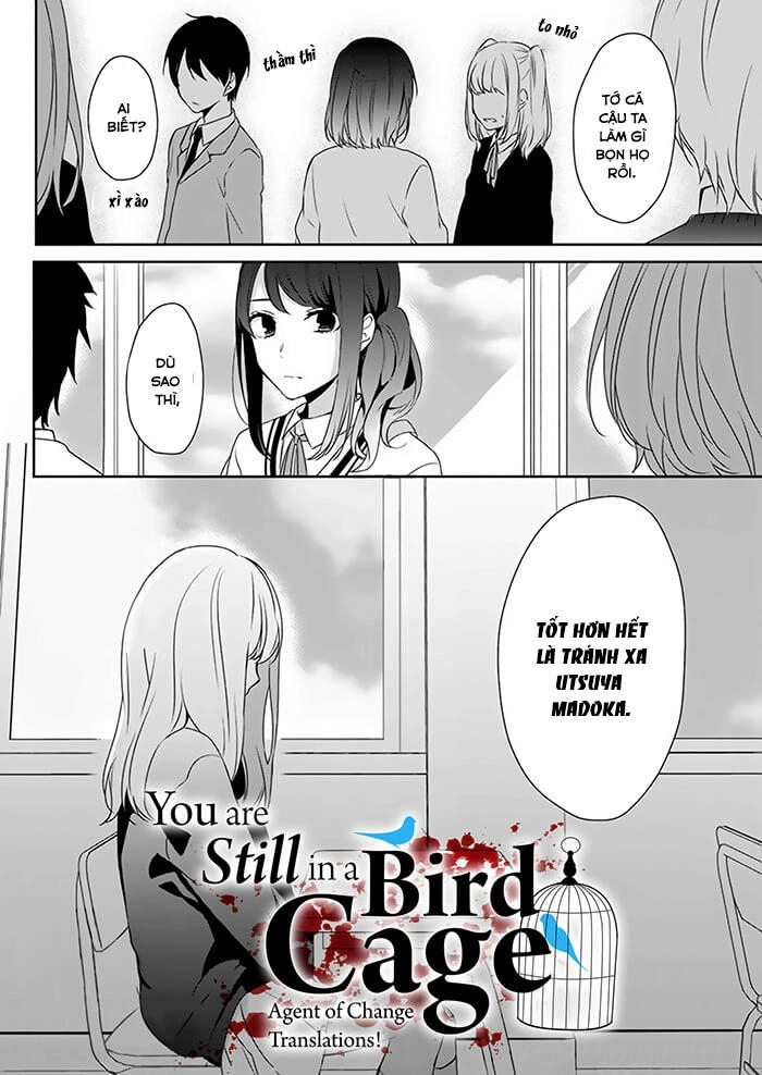 You Are Still In A Bird Cage Chapter 1 - 11