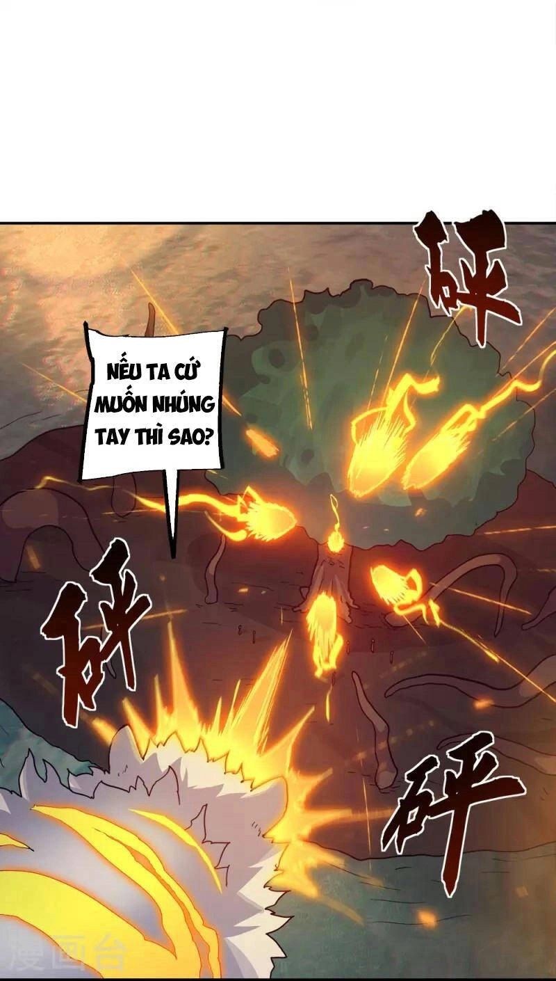 Chiến Hồn Tuyệt Thế Chapter 342 - 35