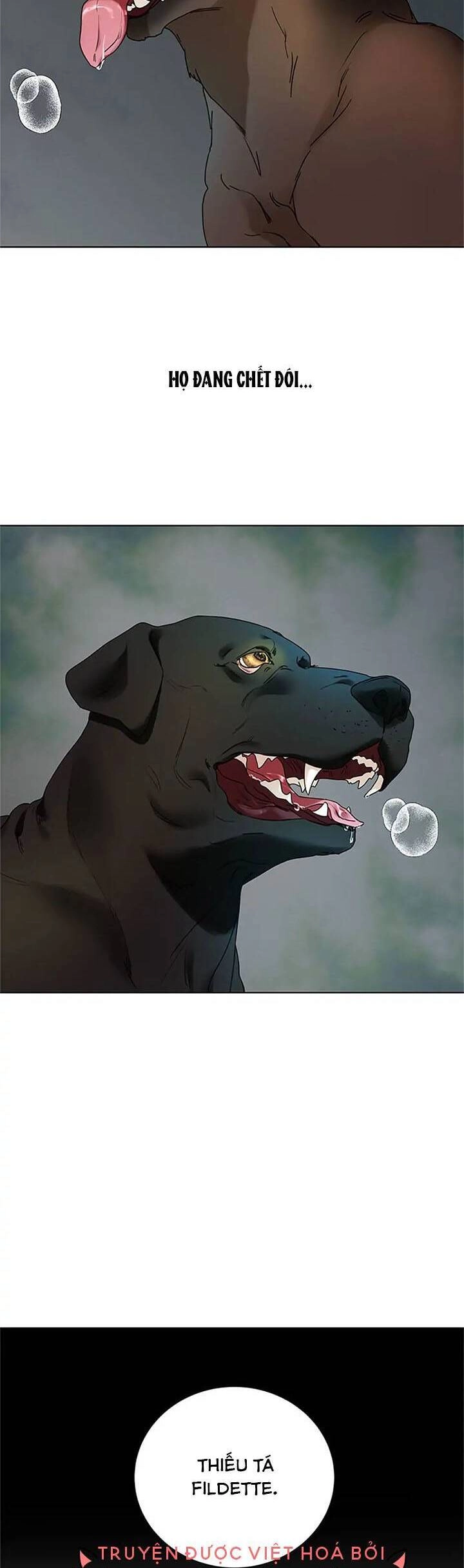 Người Không Mời Mà Đến Chapter 78 - 42