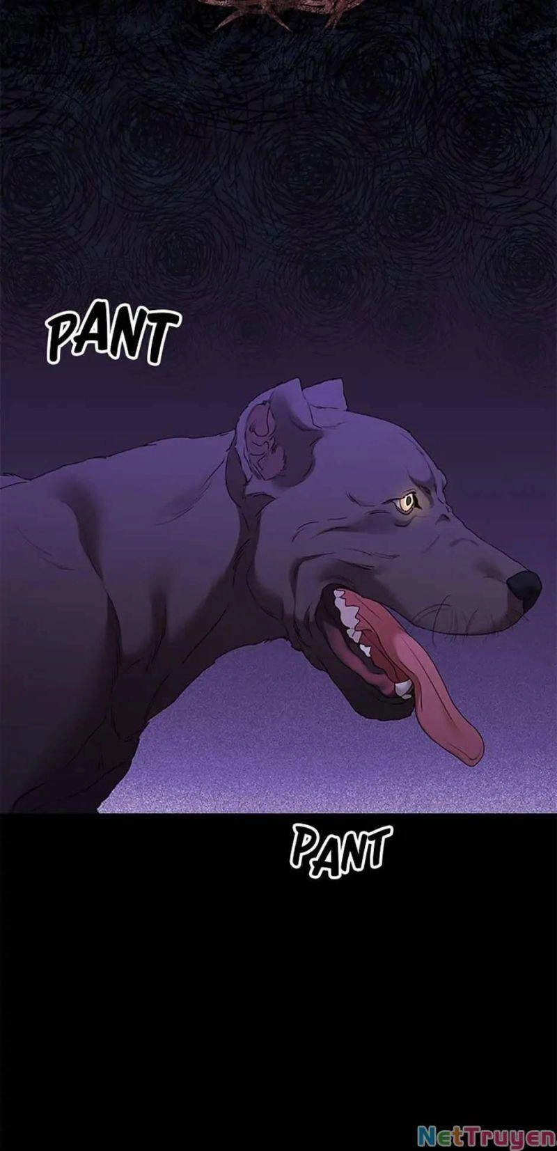 Người Không Mời Mà Đến Chapter 66 - 19