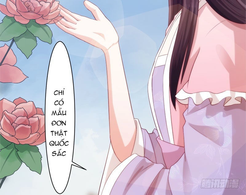 Niết Bàn Chi Phượng Nhan Lâm Ca Chapter 6 - 38