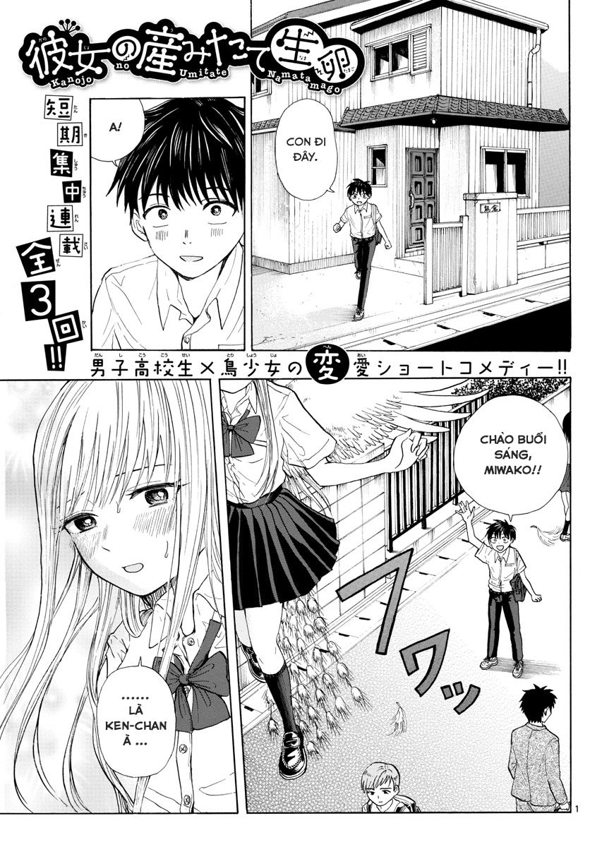 Kanojo No Umitate Namatamago Chapter 1 - 4