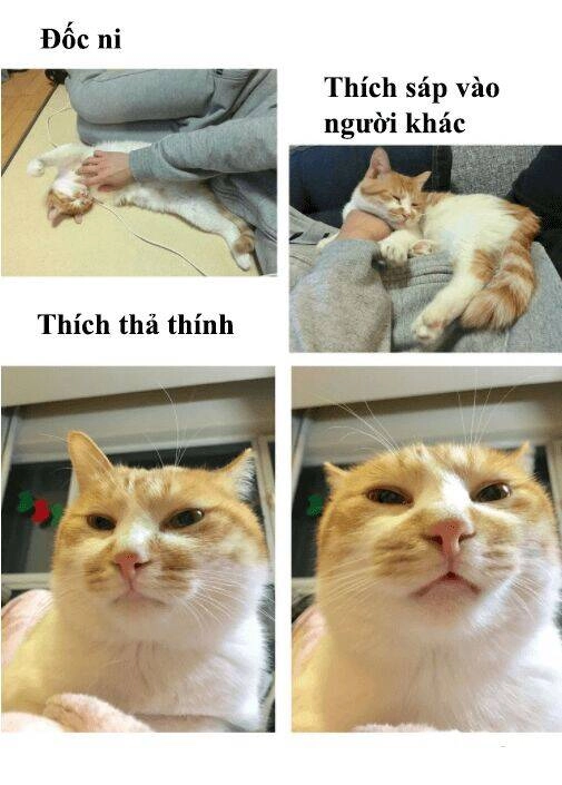 Đại Thánh Và Tiểu Yêu Chapter 50 - 25