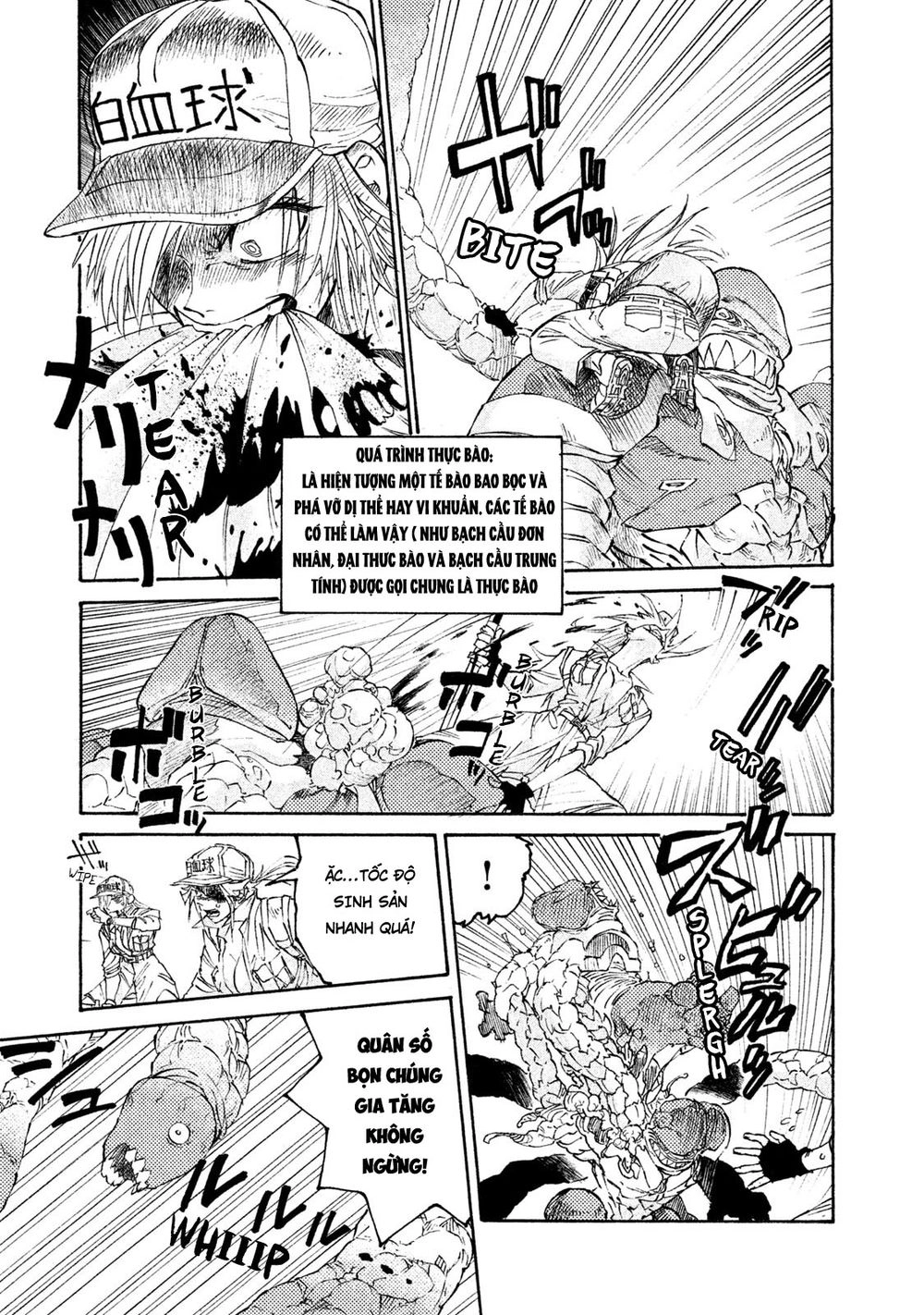 Hataraku Saibou Black Chapter 4 - 15