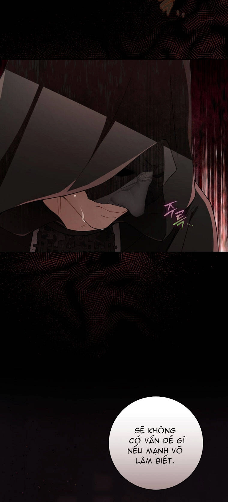 Trở Thành Cô Cháu Gái Bị Khinh Miệt Của Gia Tộc Võ Lâm. Chapter 55.1 - 21