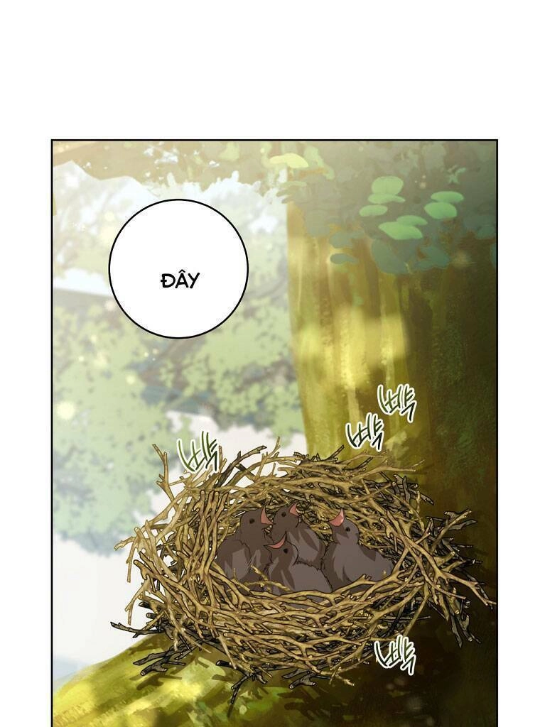 Trở Thành Cô Cháu Gái Bị Khinh Miệt Của Gia Tộc Võ Lâm. Chapter 18 - 26