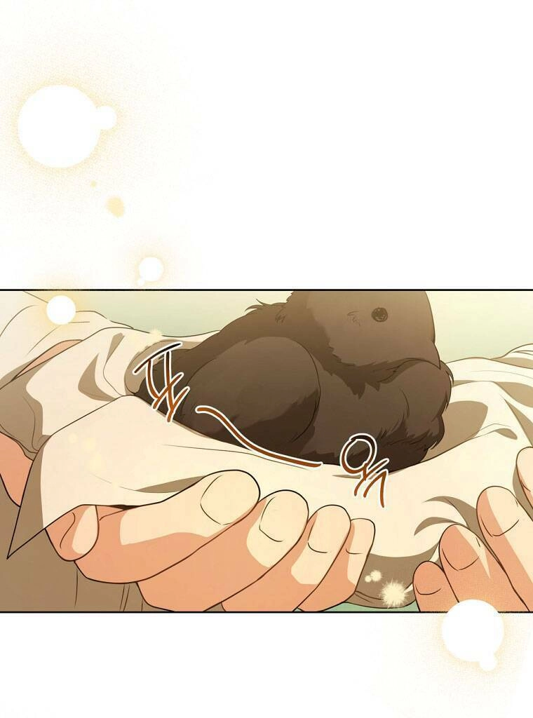 Trở Thành Cô Cháu Gái Bị Khinh Miệt Của Gia Tộc Võ Lâm. Chapter 18 - 38