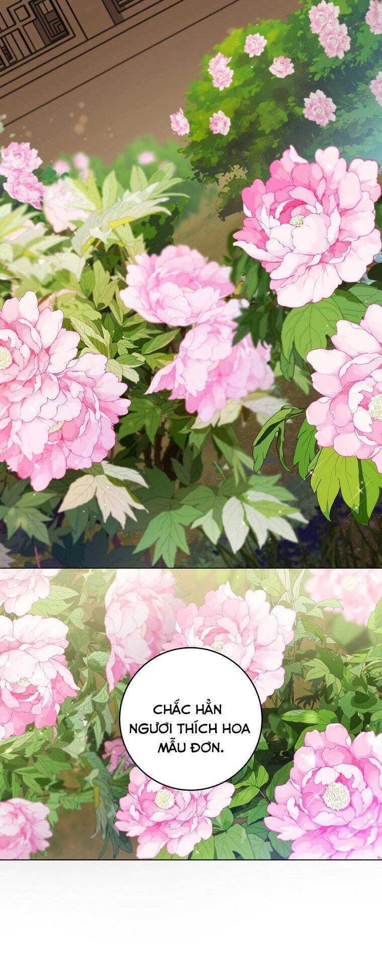 Trở Thành Cô Cháu Gái Bị Khinh Miệt Của Gia Tộc Võ Lâm. Chapter 19 - 5