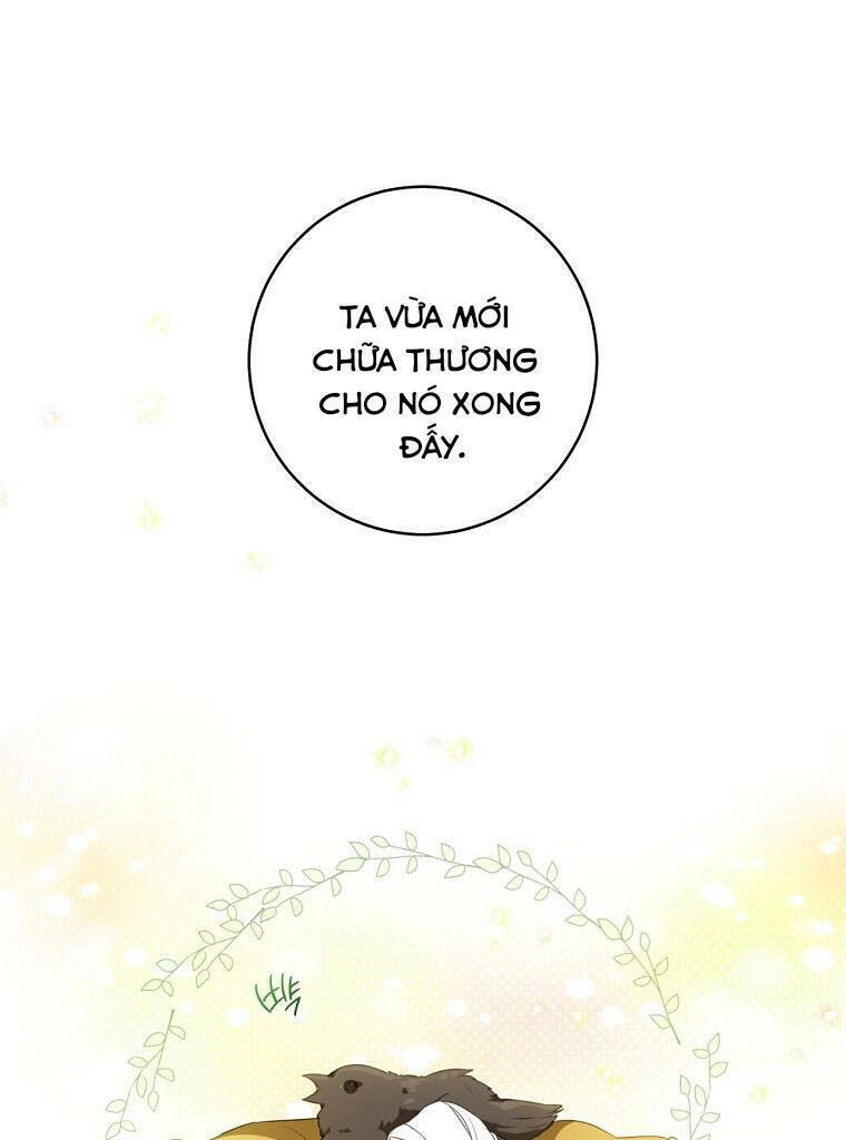 Trở Thành Cô Cháu Gái Bị Khinh Miệt Của Gia Tộc Võ Lâm. Chapter 19 - 28