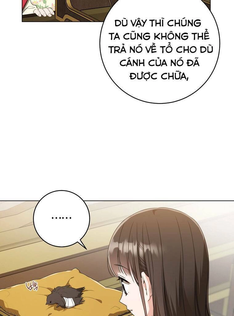 Trở Thành Cô Cháu Gái Bị Khinh Miệt Của Gia Tộc Võ Lâm. Chapter 19 - 31