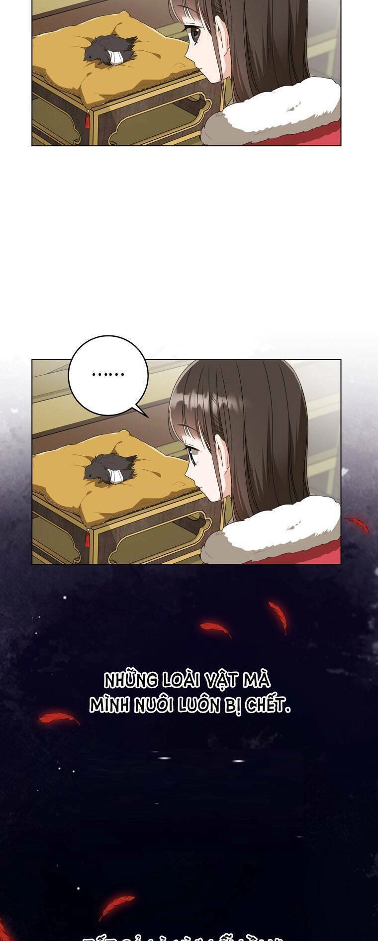 Trở Thành Cô Cháu Gái Bị Khinh Miệt Của Gia Tộc Võ Lâm. Chapter 19 - 34