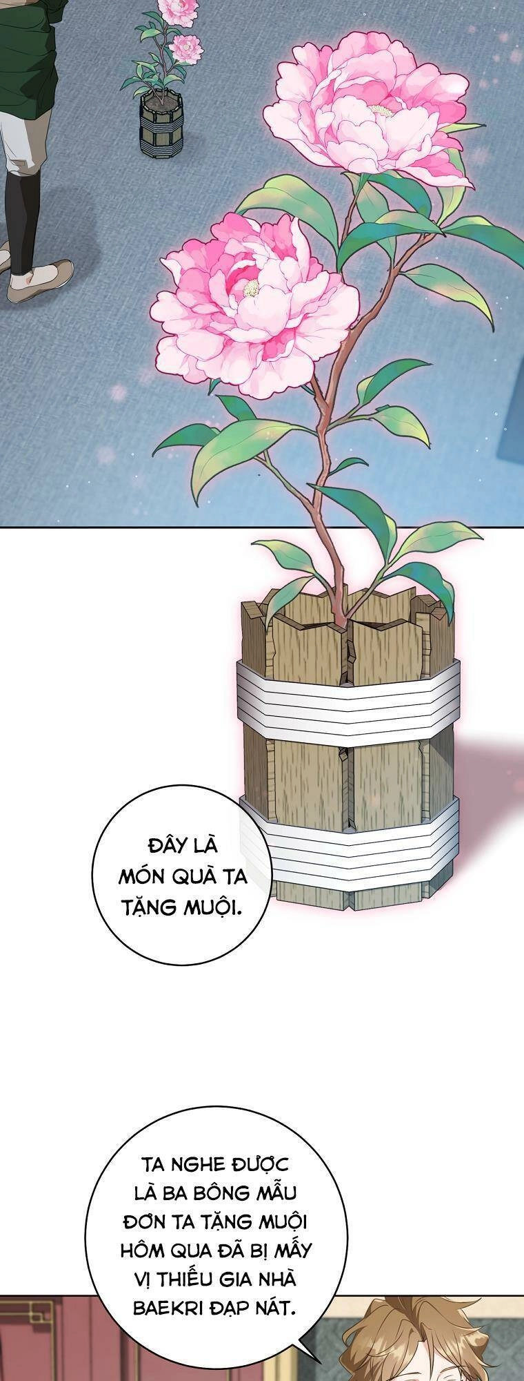 Trở Thành Cô Cháu Gái Bị Khinh Miệt Của Gia Tộc Võ Lâm. Chapter 25 - 24