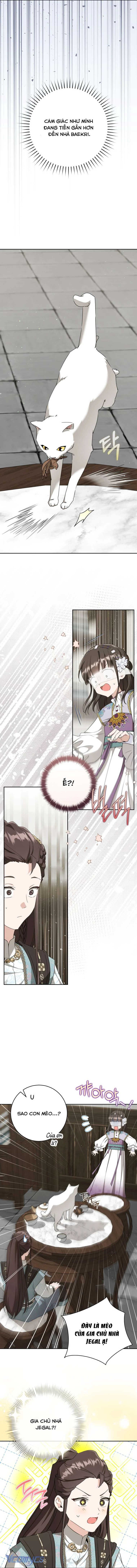 Trở Thành Cô Cháu Gái Bị Khinh Miệt Của Gia Tộc Võ Lâm. Chapter 92 - 3