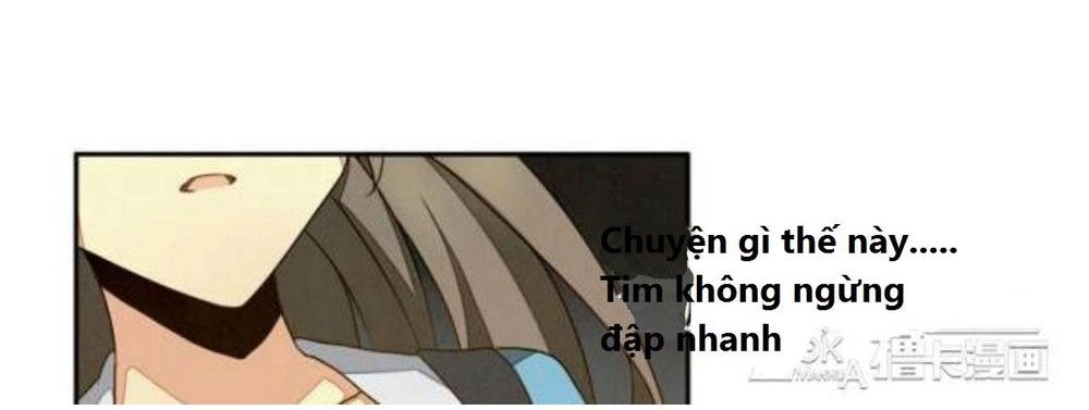 Vị Hôn Thê Bỏ Trốn Chapter 5 - 5