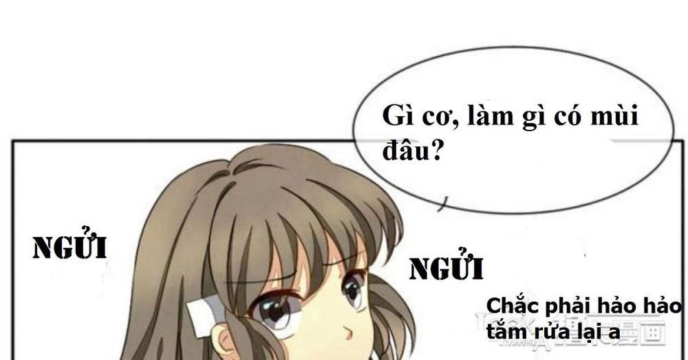 Vị Hôn Thê Bỏ Trốn Chapter 5 - 11