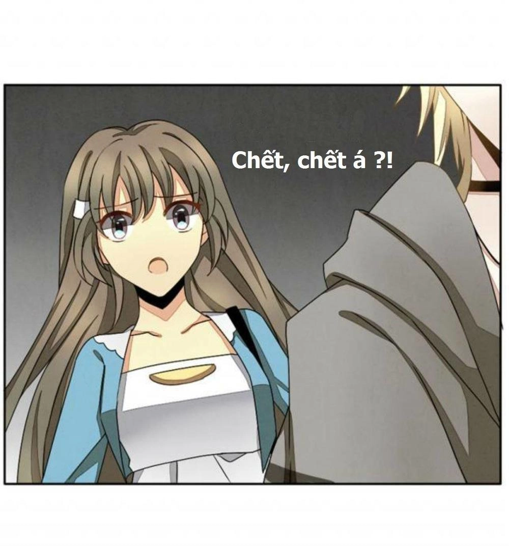 Vị Hôn Thê Bỏ Trốn Chapter 5 - 14