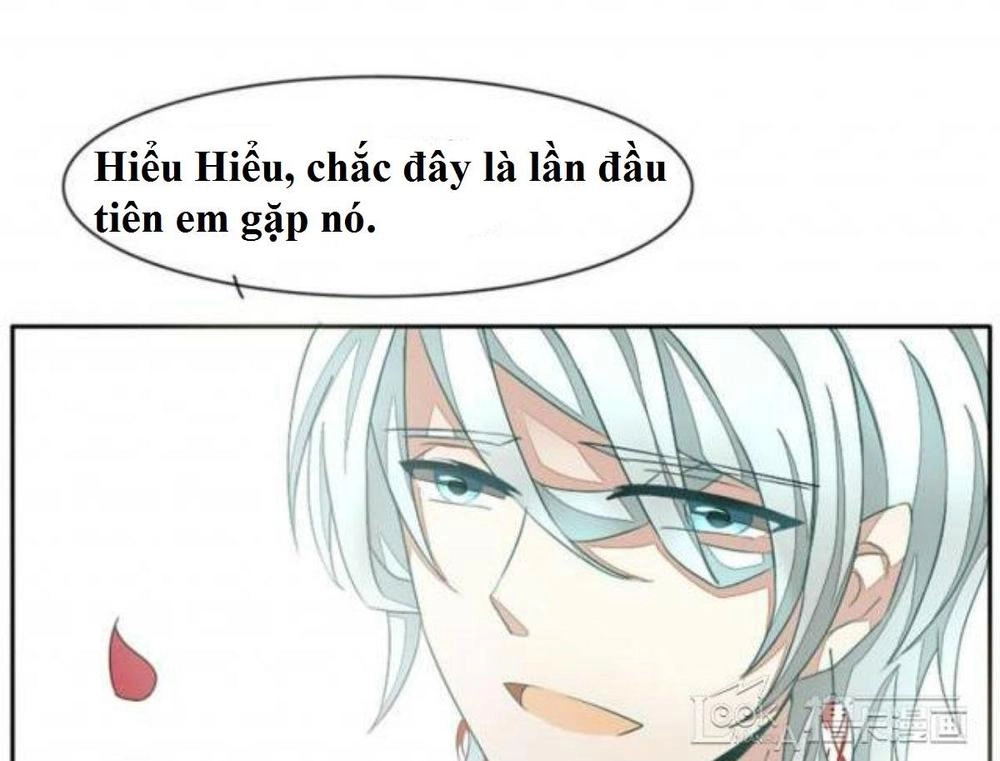 Vị Hôn Thê Bỏ Trốn Chapter 5 - 24