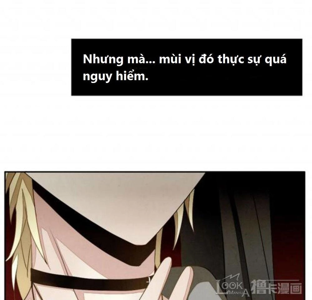 Vị Hôn Thê Bỏ Trốn Chapter 5 - 29