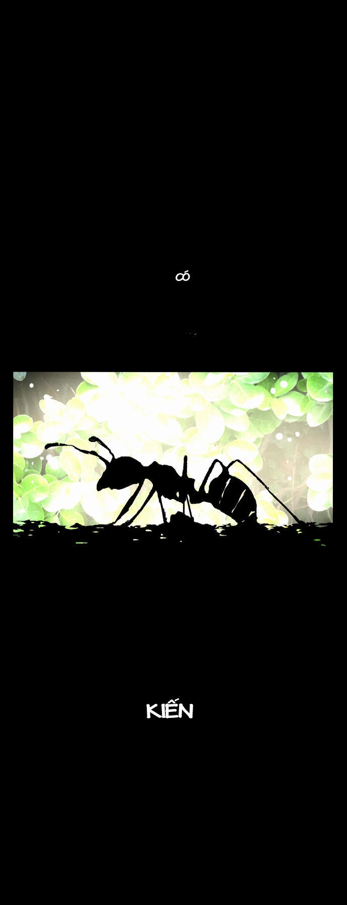 Nano List Chapter 17 - 46