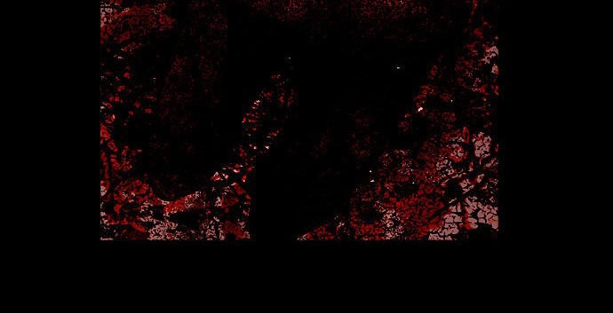 Nano List Chapter 105 - 36