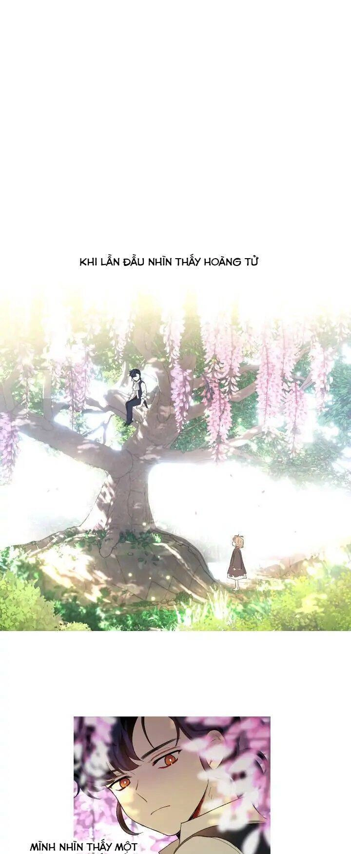 Tôi Là Fan Cứng Của Hoàng Tử Chapter 56 - 31