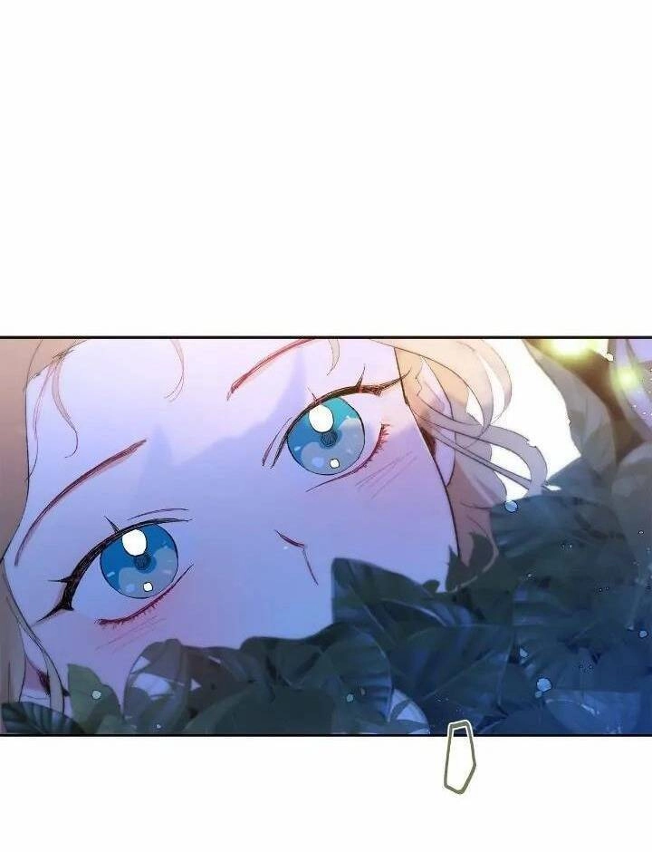 Tôi Là Fan Cứng Của Hoàng Tử Chapter 71.2 - 41