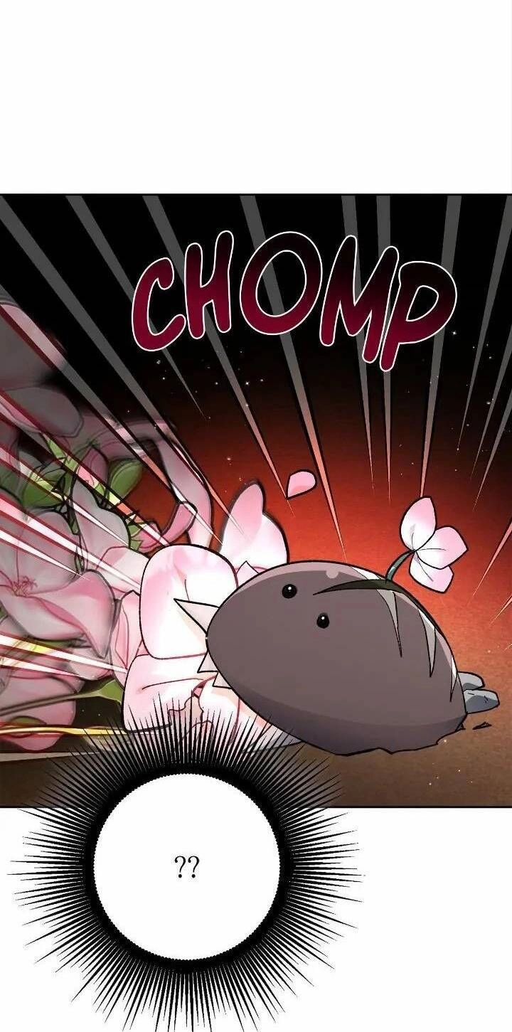 Tôi Là Fan Cứng Của Hoàng Tử Chapter 74.1 - 13