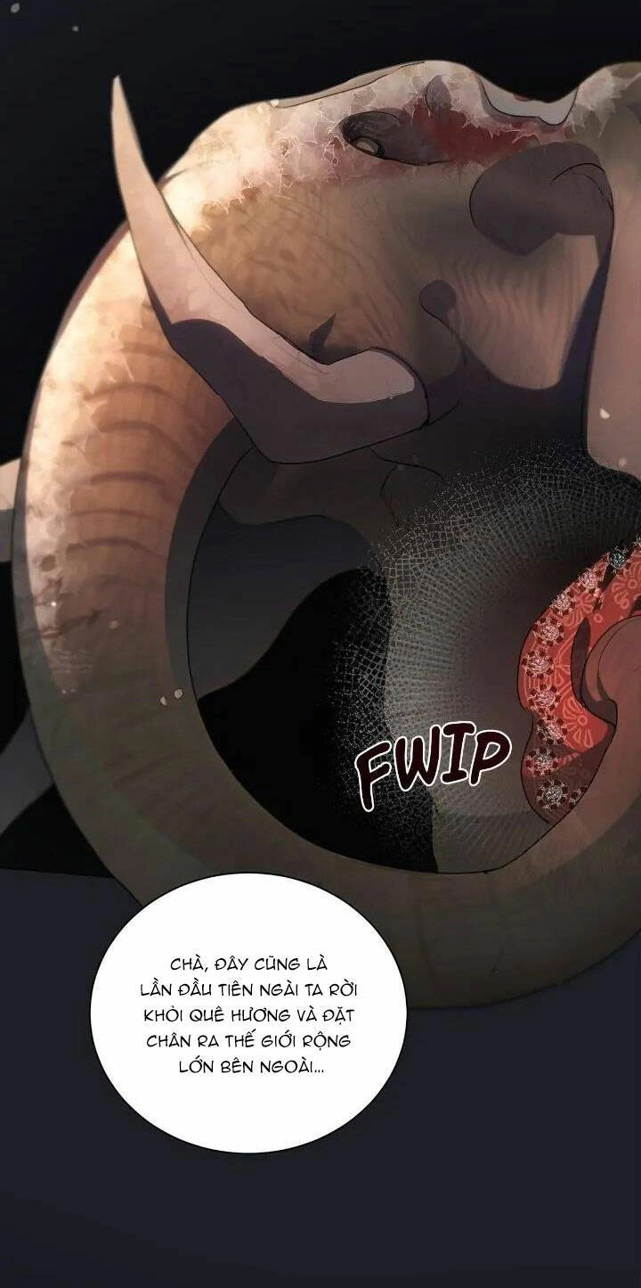 Tôi Là Fan Cứng Của Hoàng Tử Chapter 77.2 - 25