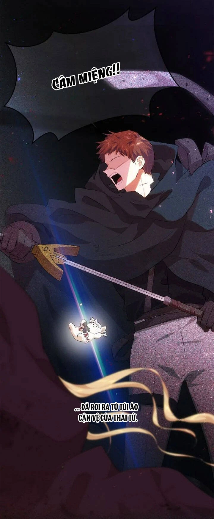 Tôi Là Fan Cứng Của Hoàng Tử Chapter 78.2 - 46