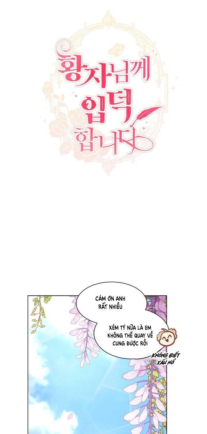 Tôi Là Fan Cứng Của Hoàng Tử Chapter 31 - 20