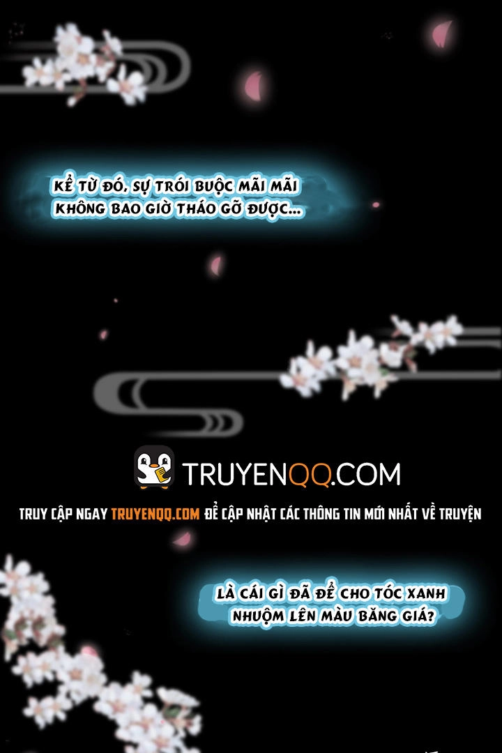 Quân Lệnh Thiên Hạ Chapter 5 - 15