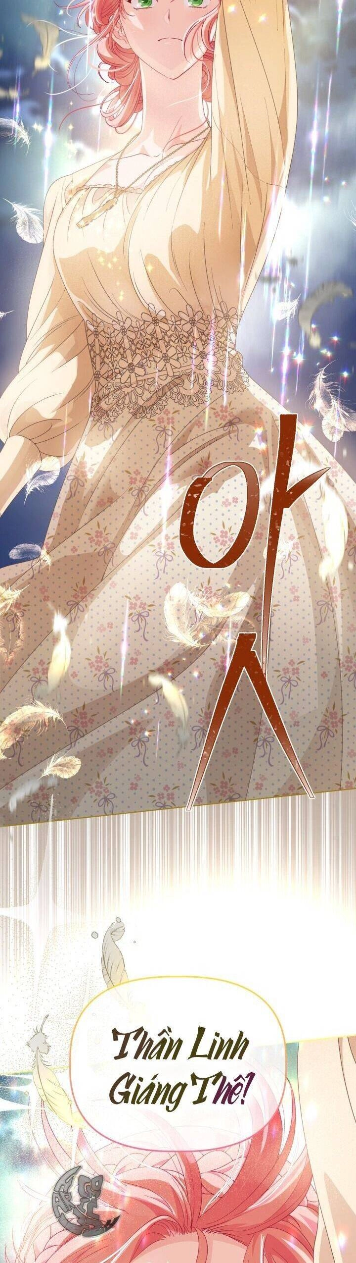 Sự Điều Trị Đặc Biệt Của Tinh Linh Chapter 65 - 29