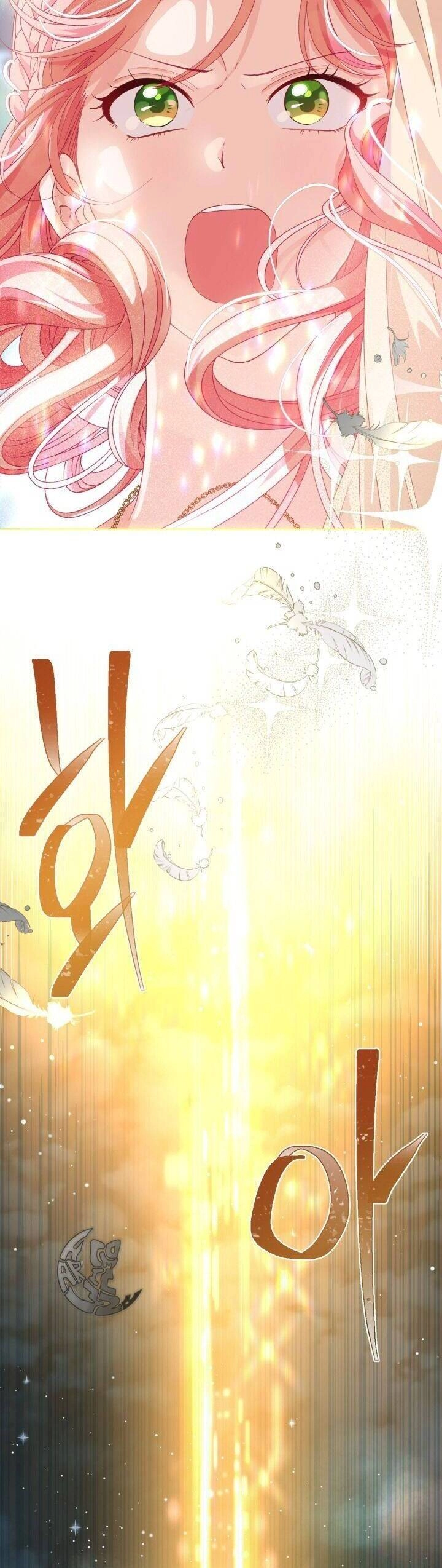 Sự Điều Trị Đặc Biệt Của Tinh Linh Chapter 65 - 30