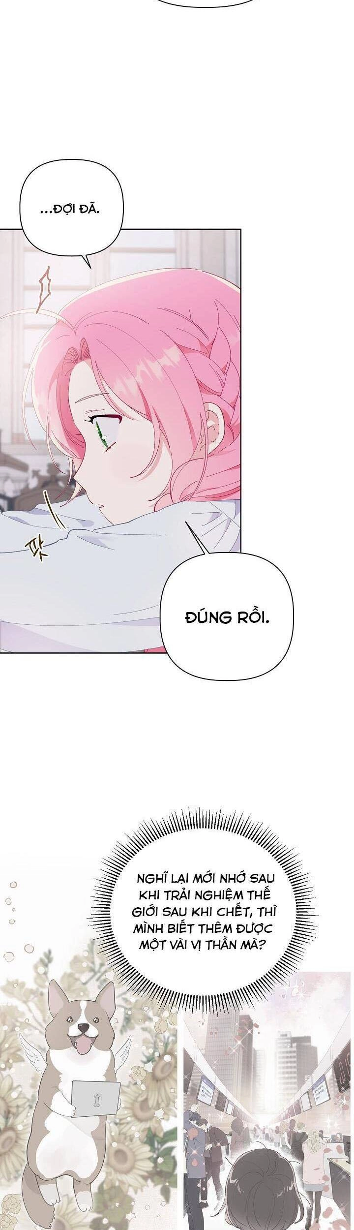 Sự Điều Trị Đặc Biệt Của Tinh Linh Chapter 8 - 24