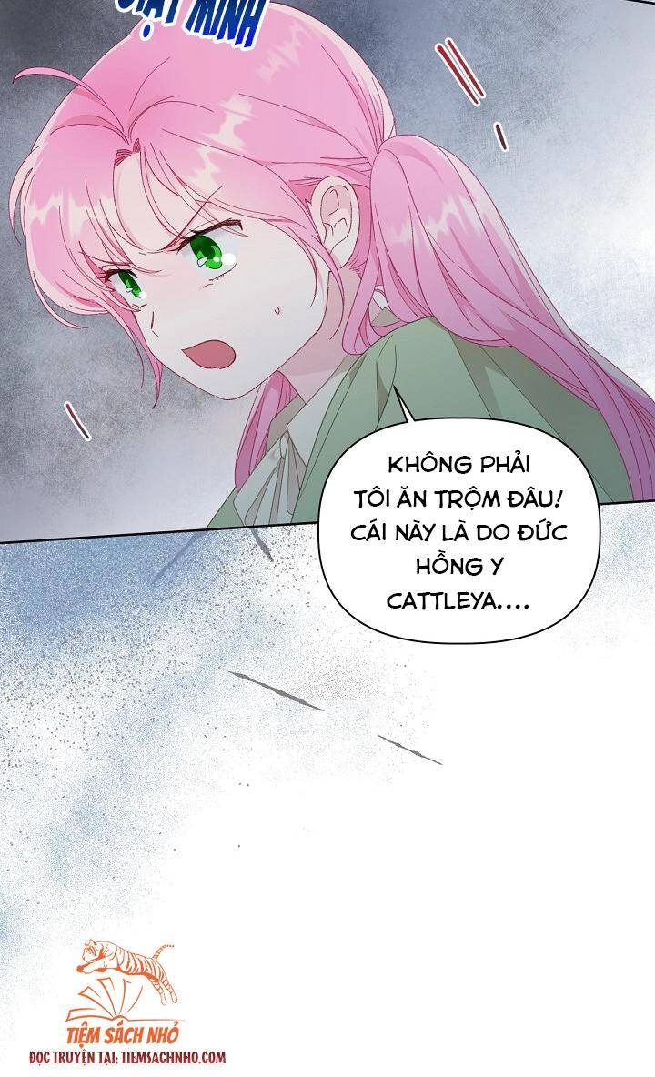 Sự Điều Trị Đặc Biệt Của Tinh Linh Chapter 23 - 23