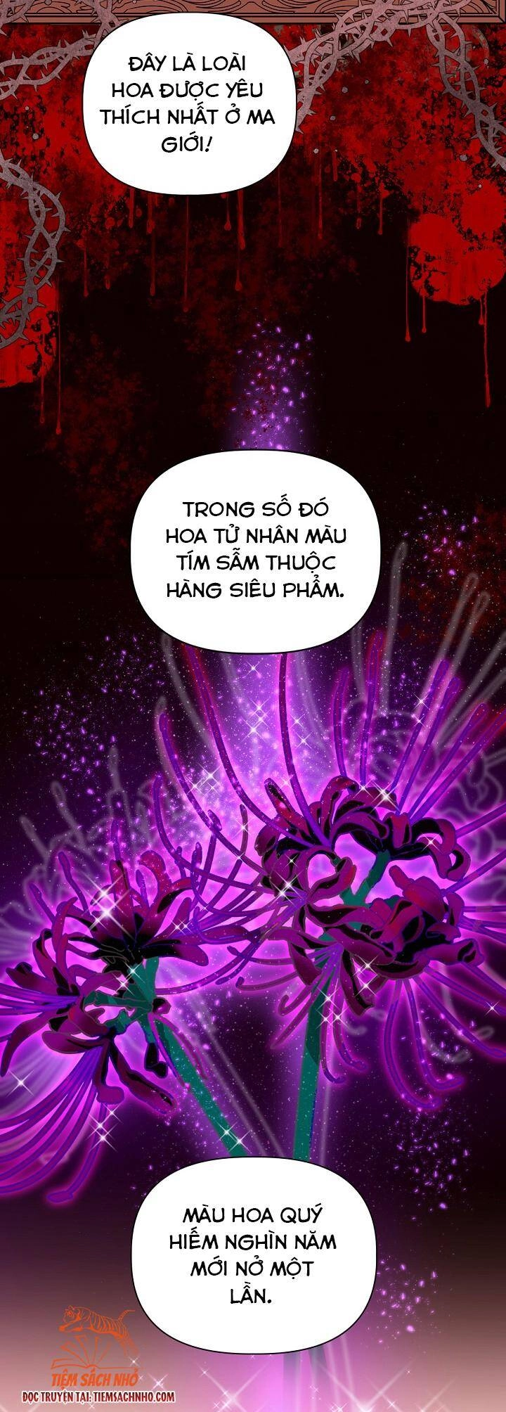 Sự Điều Trị Đặc Biệt Của Tinh Linh Chapter 26 - 35