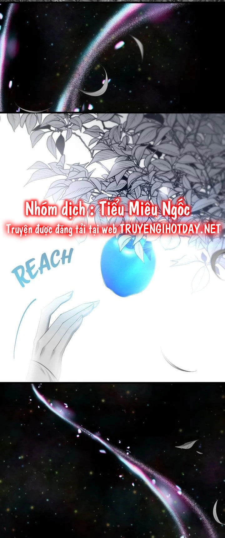 Một Đêm Sâu Đậm Của Adeline Chapter 70 - 49