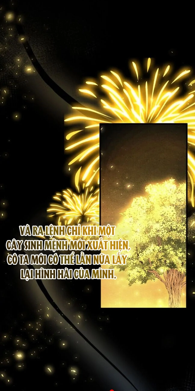 Một Đêm Sâu Đậm Của Adeline Chapter 77 - 10