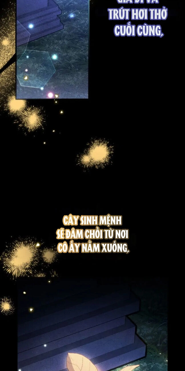 Một Đêm Sâu Đậm Của Adeline Chapter 77 - 15