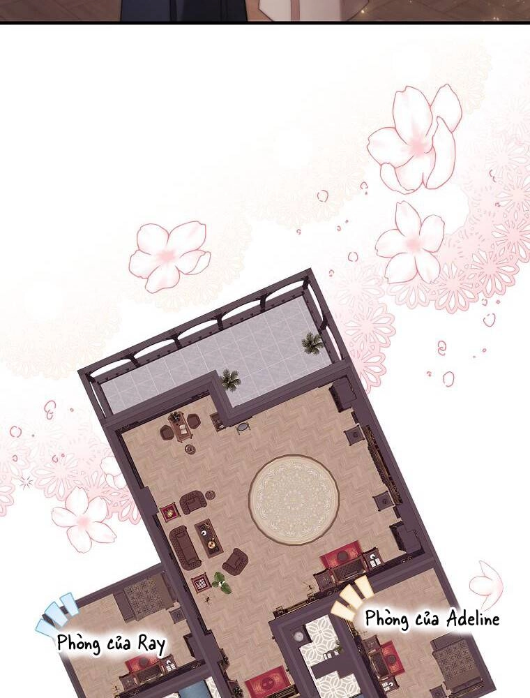 Một Đêm Sâu Đậm Của Adeline Chapter 16 - 6